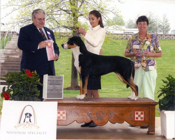 Greater Swiss Mountain Dog Jada Nat'l Bred By